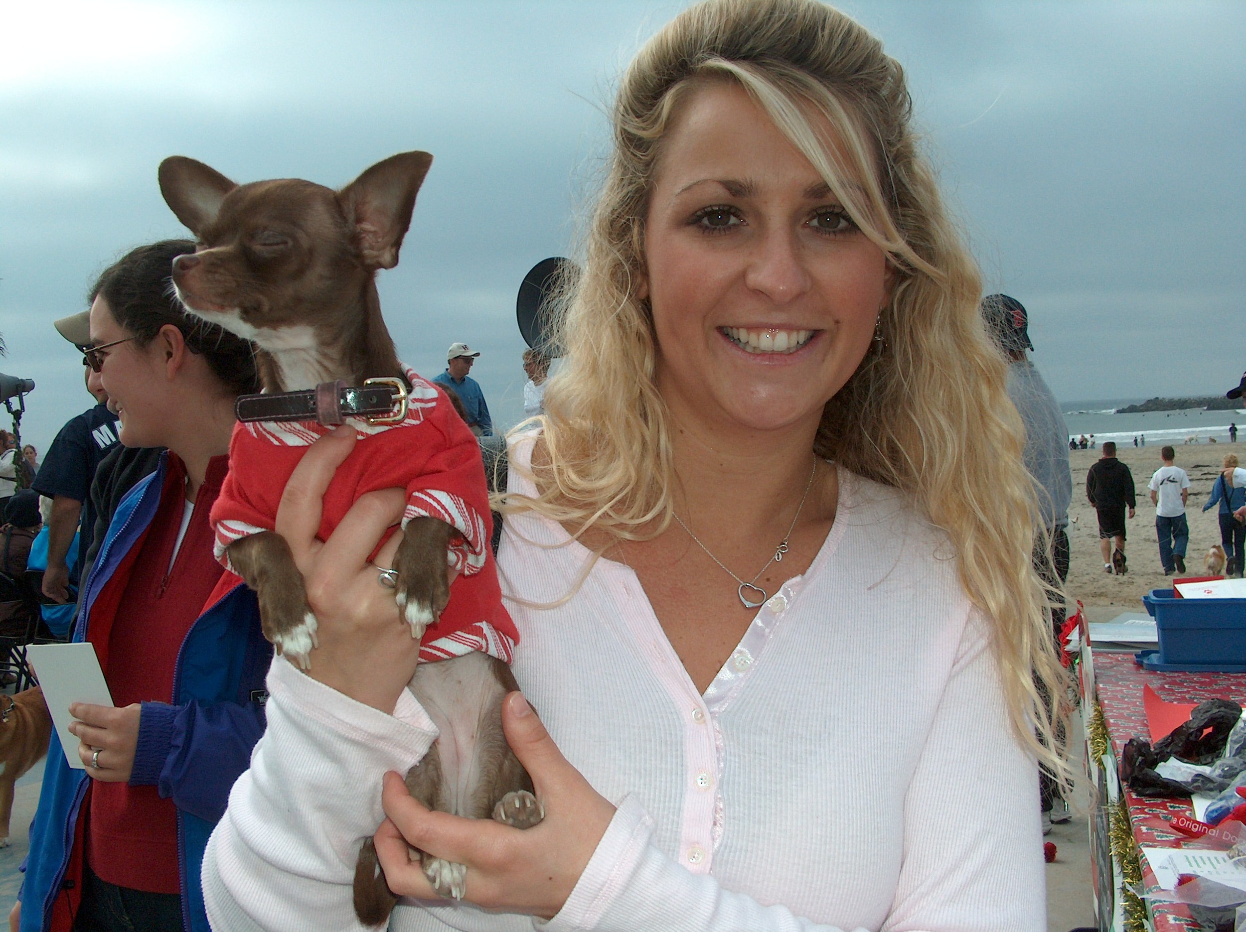 Sandy Claws at Dog Beach - Surf Dog Diaries