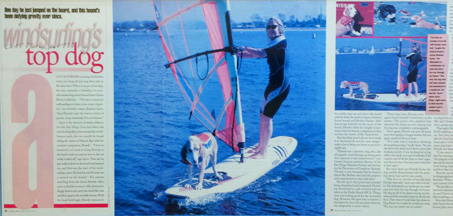 Howdy Doody, first generation of our Surf Dog Diaries family - named "Windsurfing's Top Dog" by PetLife Magazine back in the day, in the early 90's