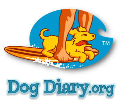 Dog Diary