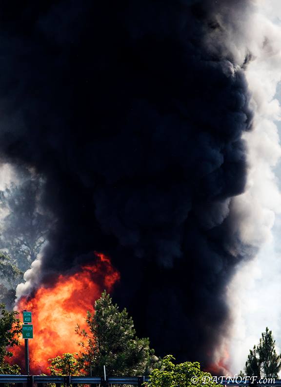 Photo by Stave Datnoff, copyright- all rights reserved. Please buy images from this talented photographer.