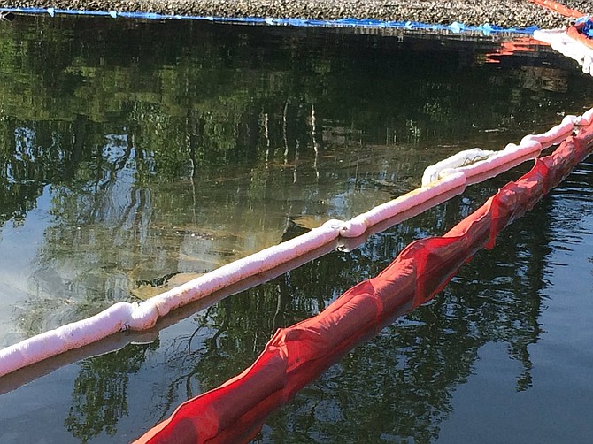 An Oil sheen formed on the Columbia and booms were brought in to help protect the waterway. Photo by Washington Dept. of Ecology