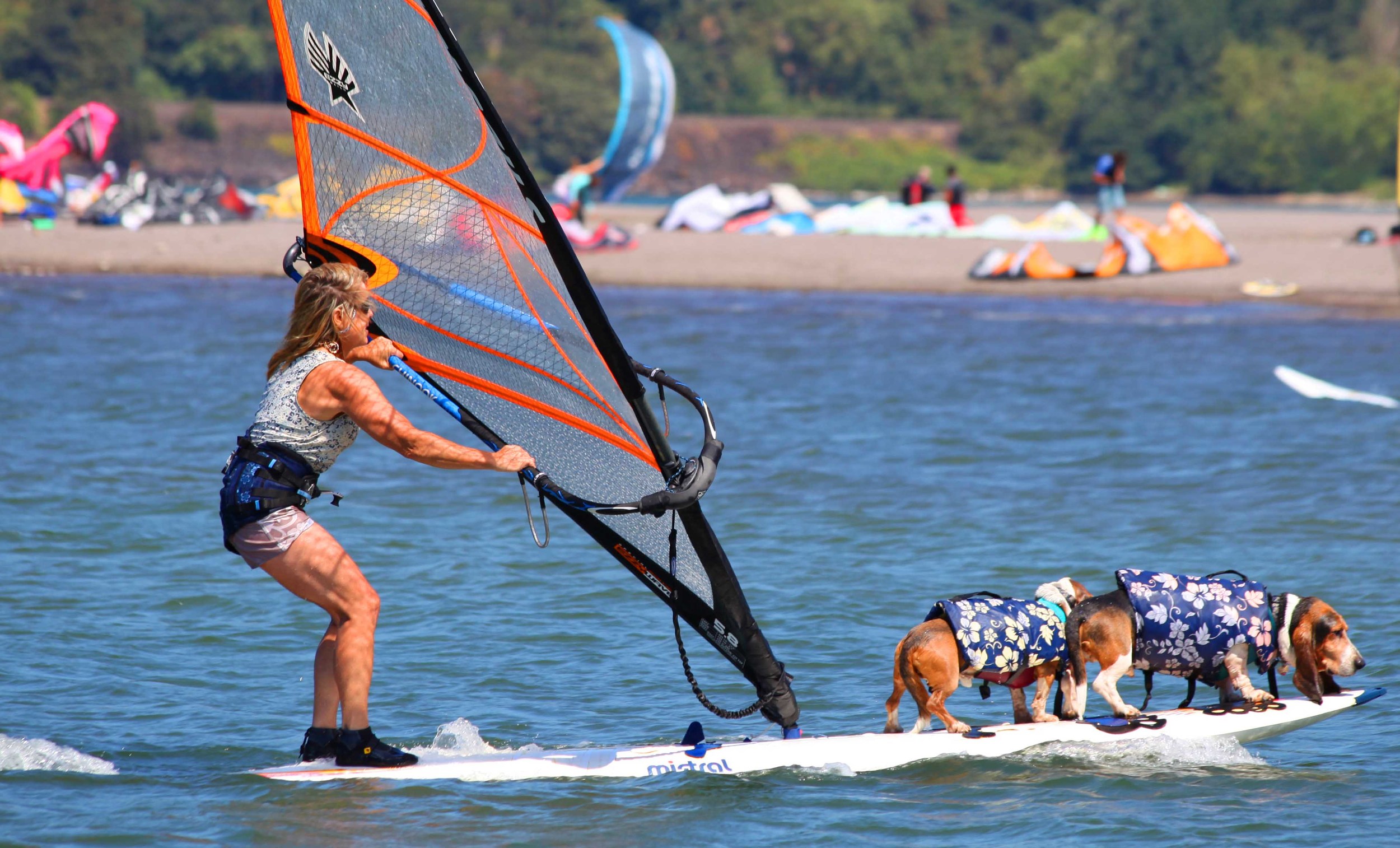 That's me, in the middle, in a two dog jibe - a downwind turn on a windsurfer. In the Columbia River Gorge. At this point, I still had one working eye.
