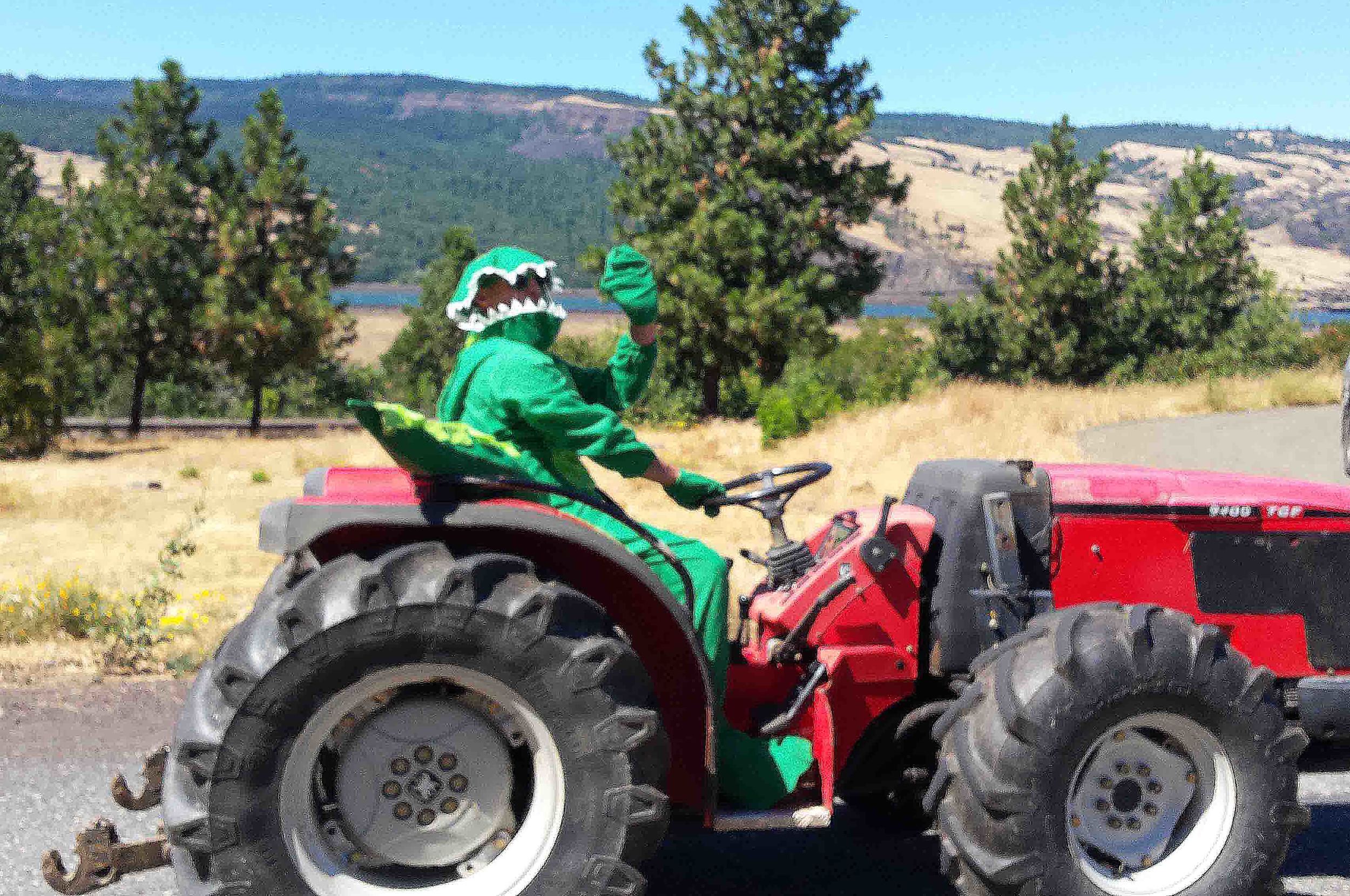 What in the world? Maybe "Gator on a Gator" in the parade?