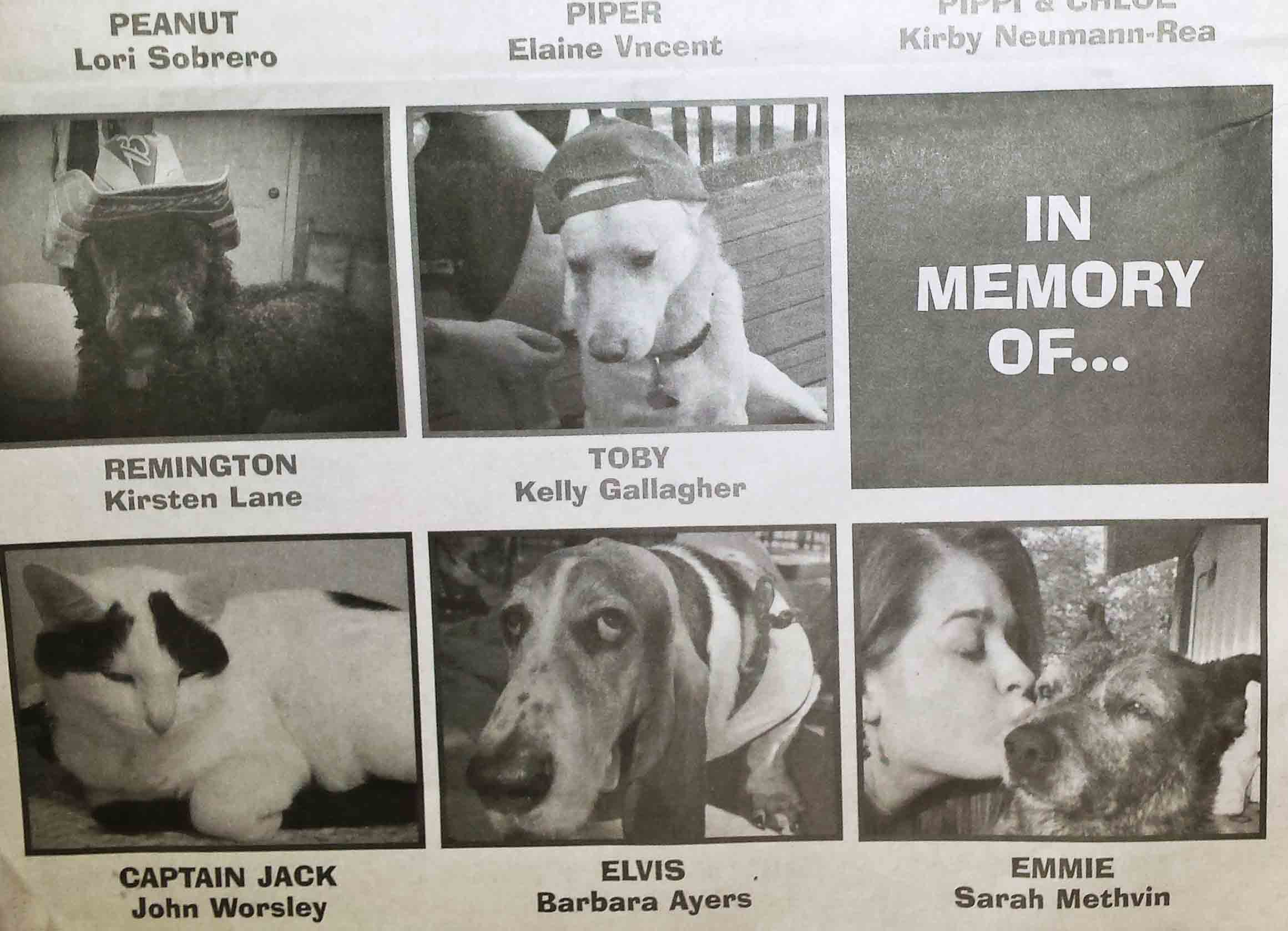 Pet photo contest special section published by Hood River News