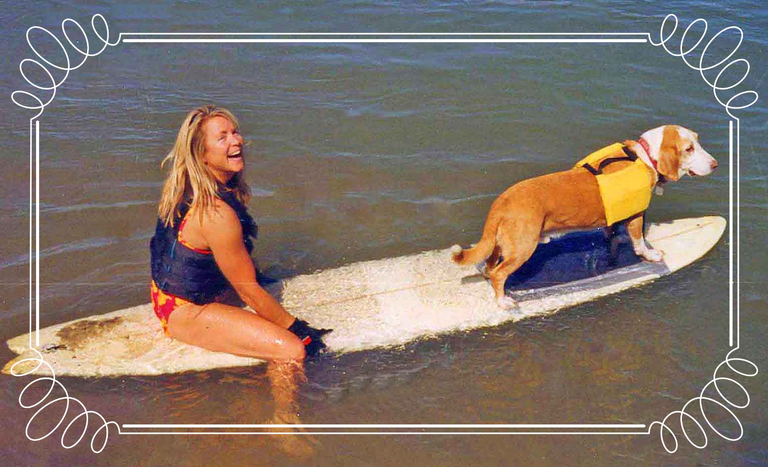 River surfing on the Colorado River, one of Howdy's many sports. Howdy rode waves at Dog Beach and windsurfed Mission Bay in San Diego and was star of national TV shows. Howdy was my co-chair of Ocean Beach Town Council's Dog Beach Committee - together with the community, we fixed up our favorite beach. Photo (c) Barb Ayers, DogDiary.org