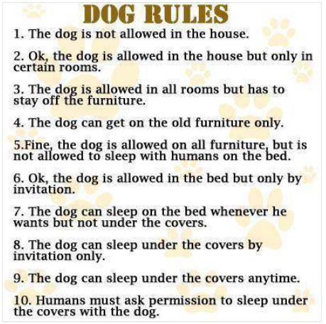 Dog house rules copy.png