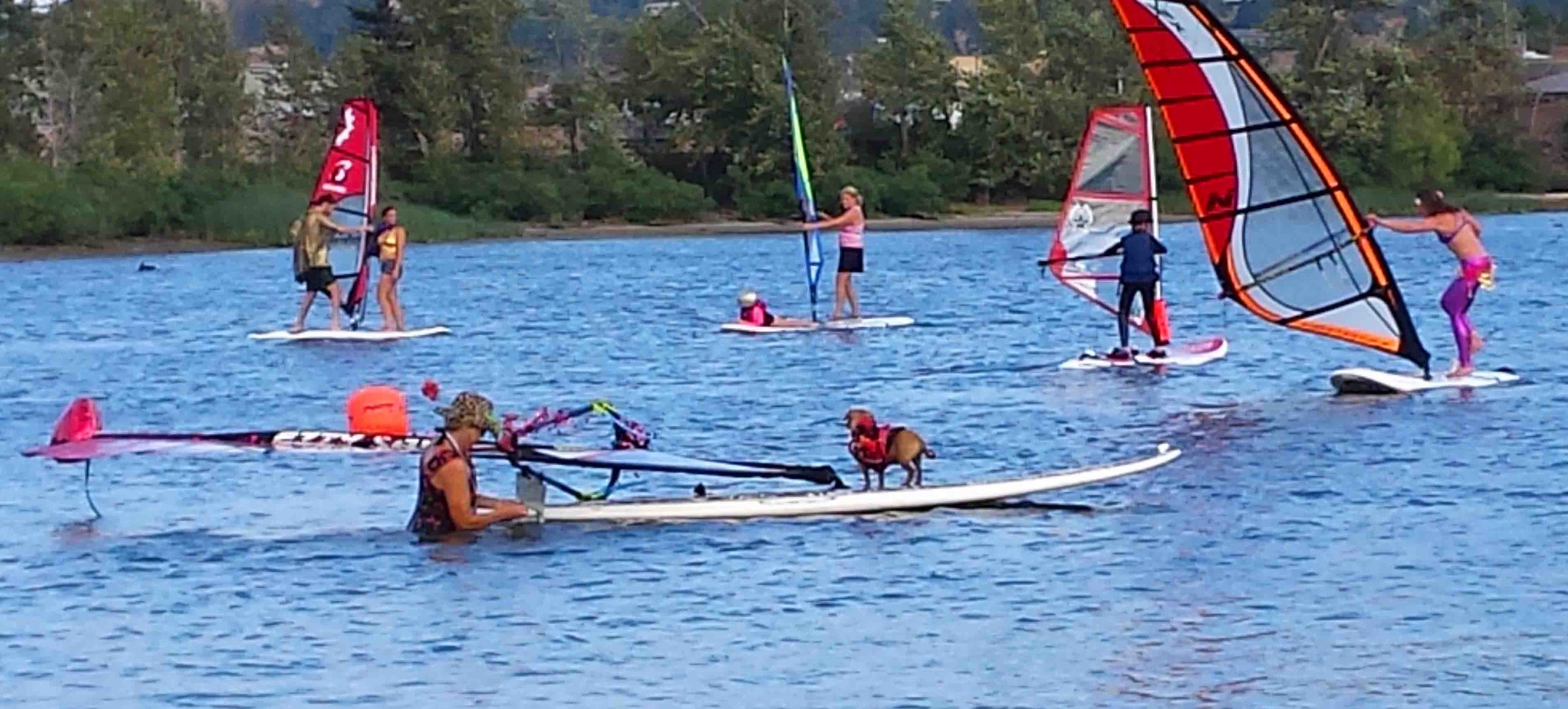 Wardrobe and decoration malfunctions. Our Dog River / Dog Mountain license plates almost fell in the drink; the cherry sprigs on my hat and Doodle's cherry booty bag caught on the sail when we tacked or jibed. And it was a no wind day - it was hard to look Kingly. Photo by Steve Schmidt, (c) Barb Ayers, DogDiary.org