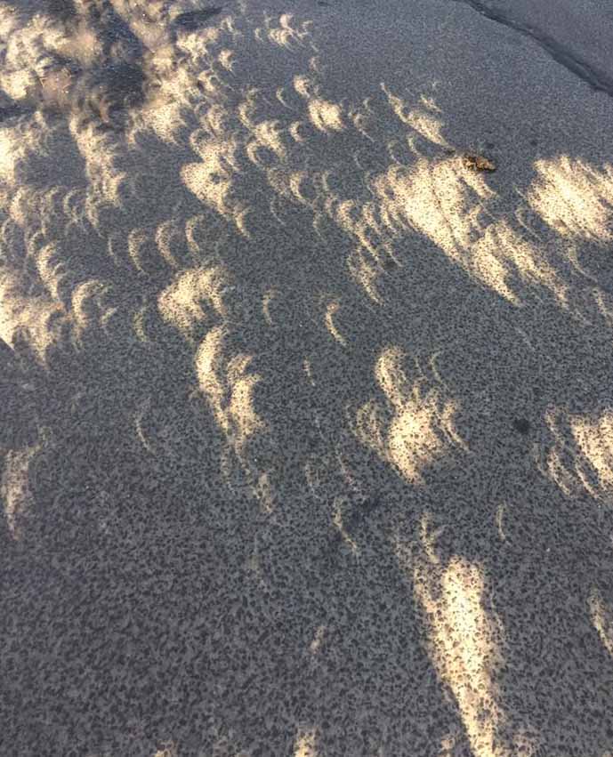Mystical eclipse shadows formed on the ground, the temperature dropped 15 - 20 degrees in Hood River. 