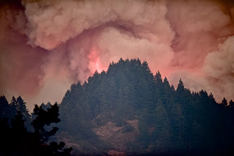 The Eagle Creek wildfire was started by a human. Please don't do that. No self respecting dog would start a fire . Photo: The Oregonian.
