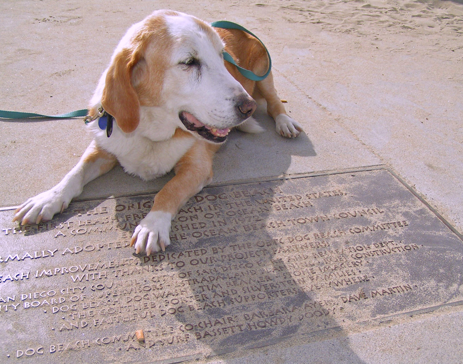 The bronze plaque at Dog Beach. The Dog Beach Improvement Project took 10 years - a lifetime in dog years. Here's Howdy. Thank you, OB Town Council and Dog Beach regulars, for your pride and spirit. Together, we saved Dog Beach . Photo: (c) Barb Ayers, DogDiary.org