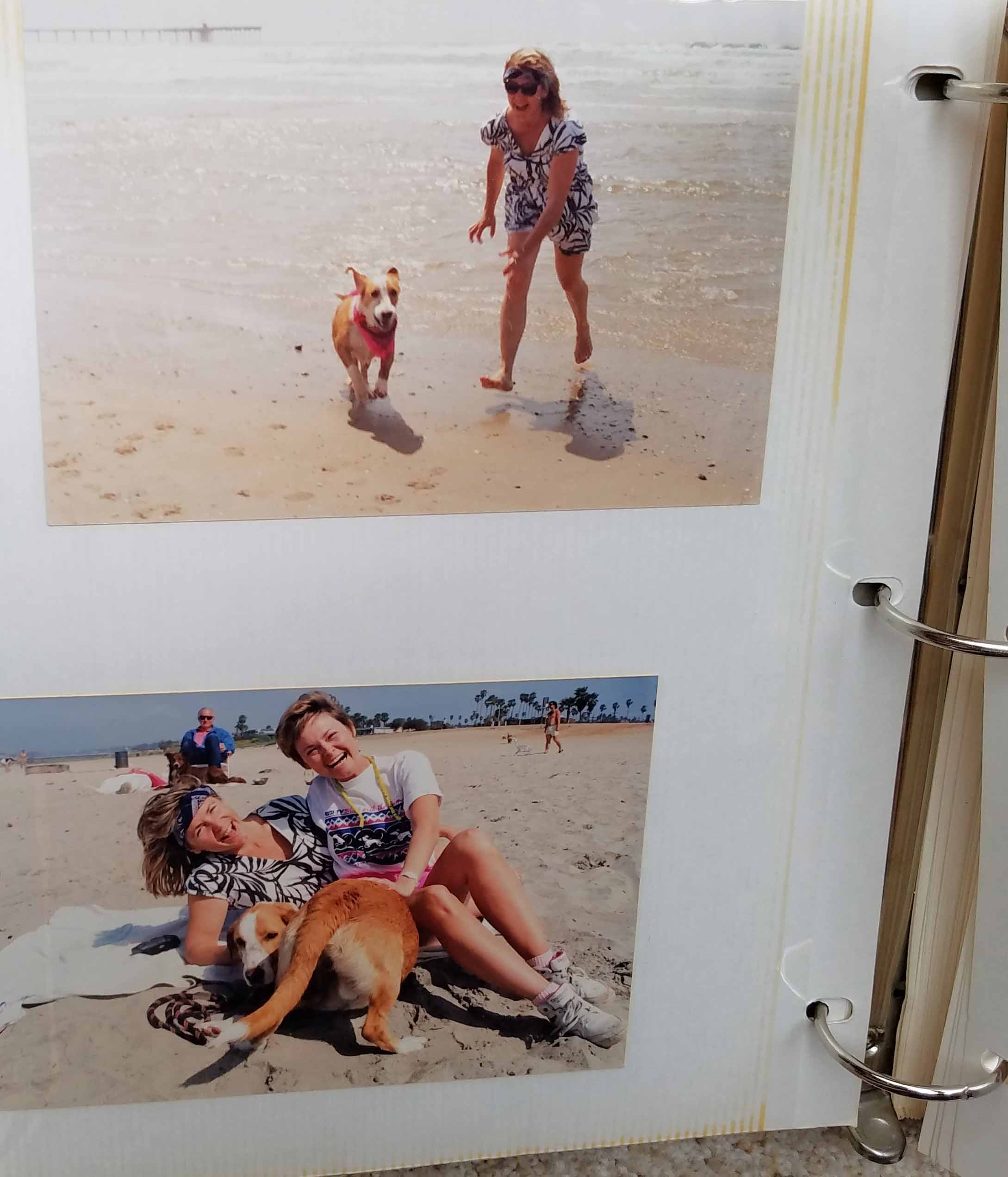 Top pic: Howdy was a rogue runaway for years. He finally found himself through surfing. Bottom pic: Pat and I get photo bombed by Howdy. Photo: (c) Pat Brown, DogDiary.org
