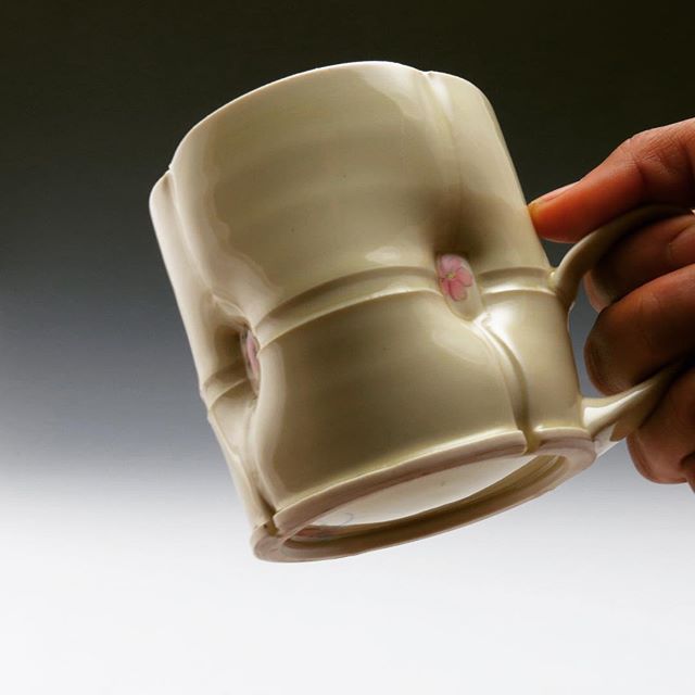 Donate to @potsonwheels and you could have a fabulous @kylatoomey mug. Only one left. http://kck.st/2lyZRaZ 13 days to go #bringtheclay #clayart #clayoutreach