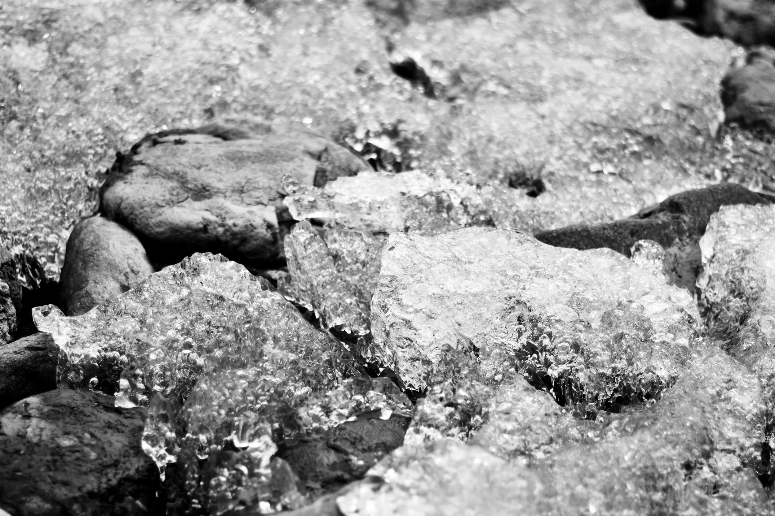 _DSC0153.jpg