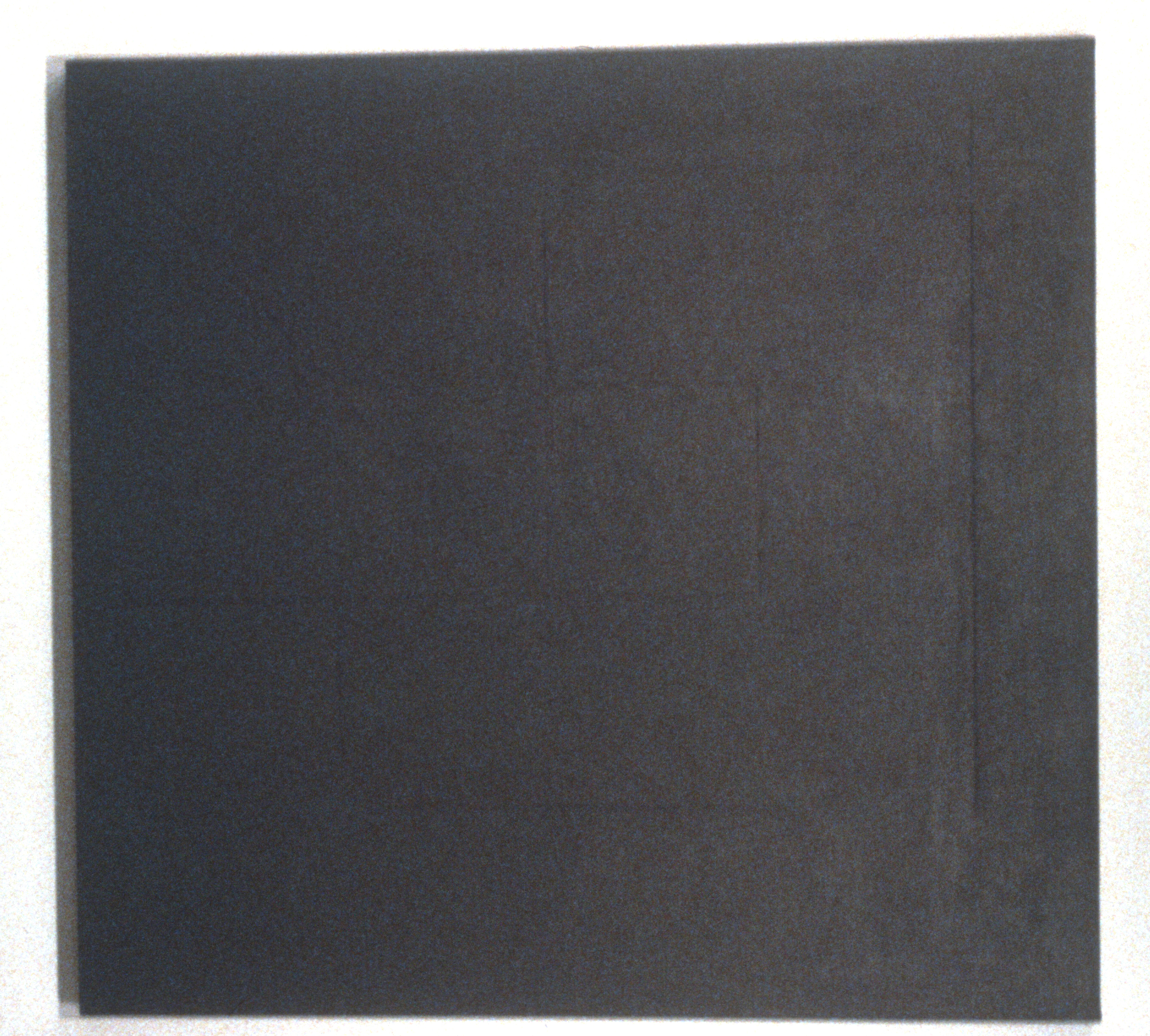 Morning Dove, 1980. oil on canvas. 59.5"x56"