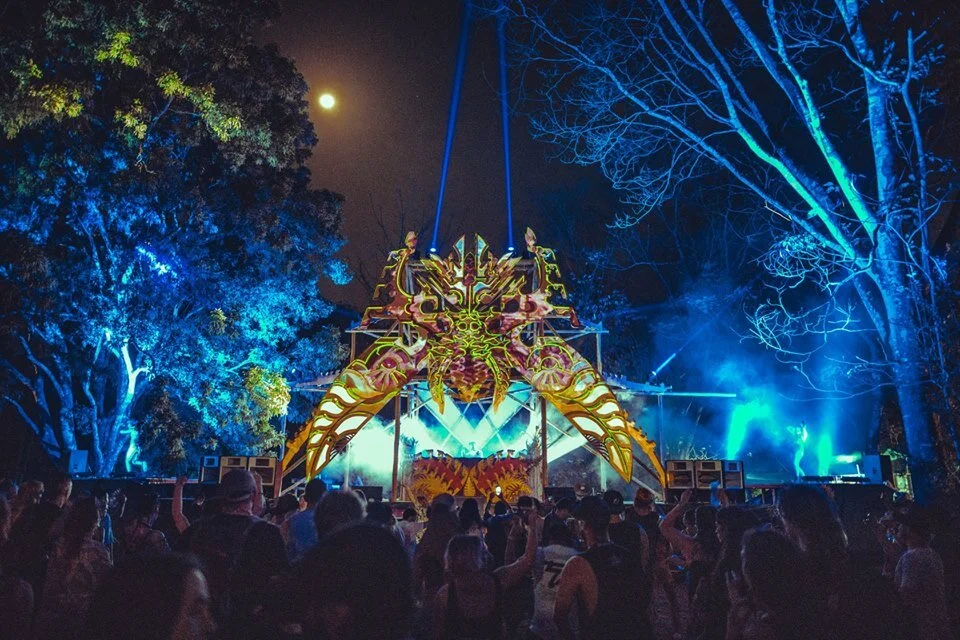 treevalds6.jpg