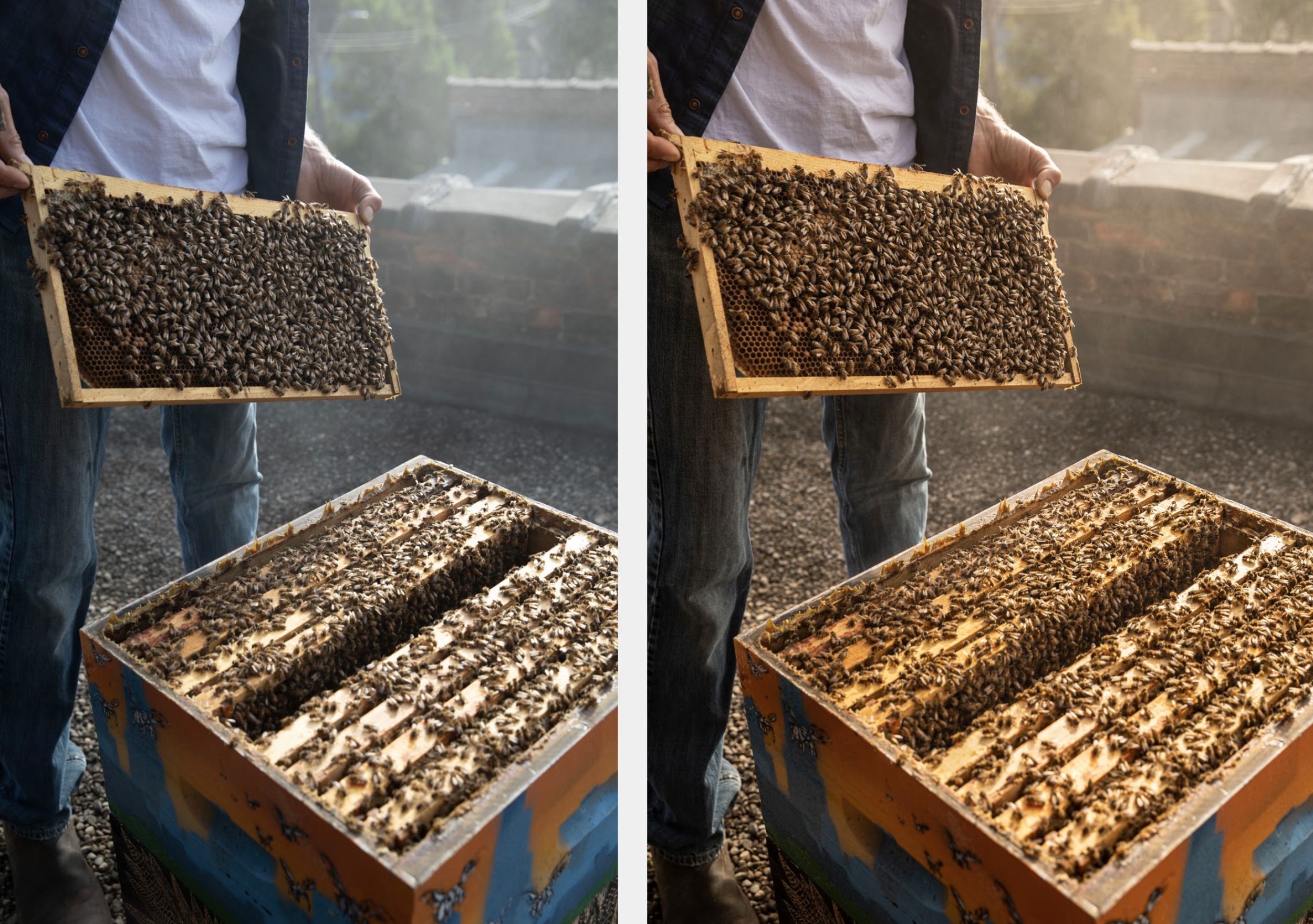 Screen Shot 2020-01-06 at 8.55.04 PM.png