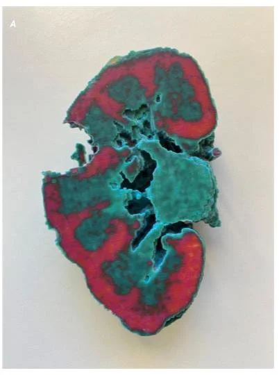 A sliced open pomegranate showing red seeds and greenish-blue pulp inside.