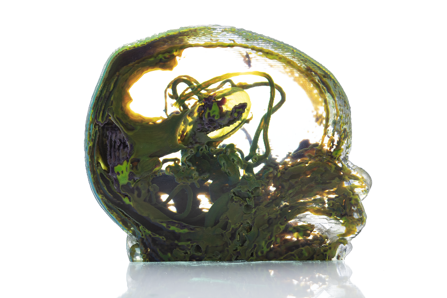 A cross-section of a cannabis bud showing detailed trichomes, pistils, and colorful leaves.