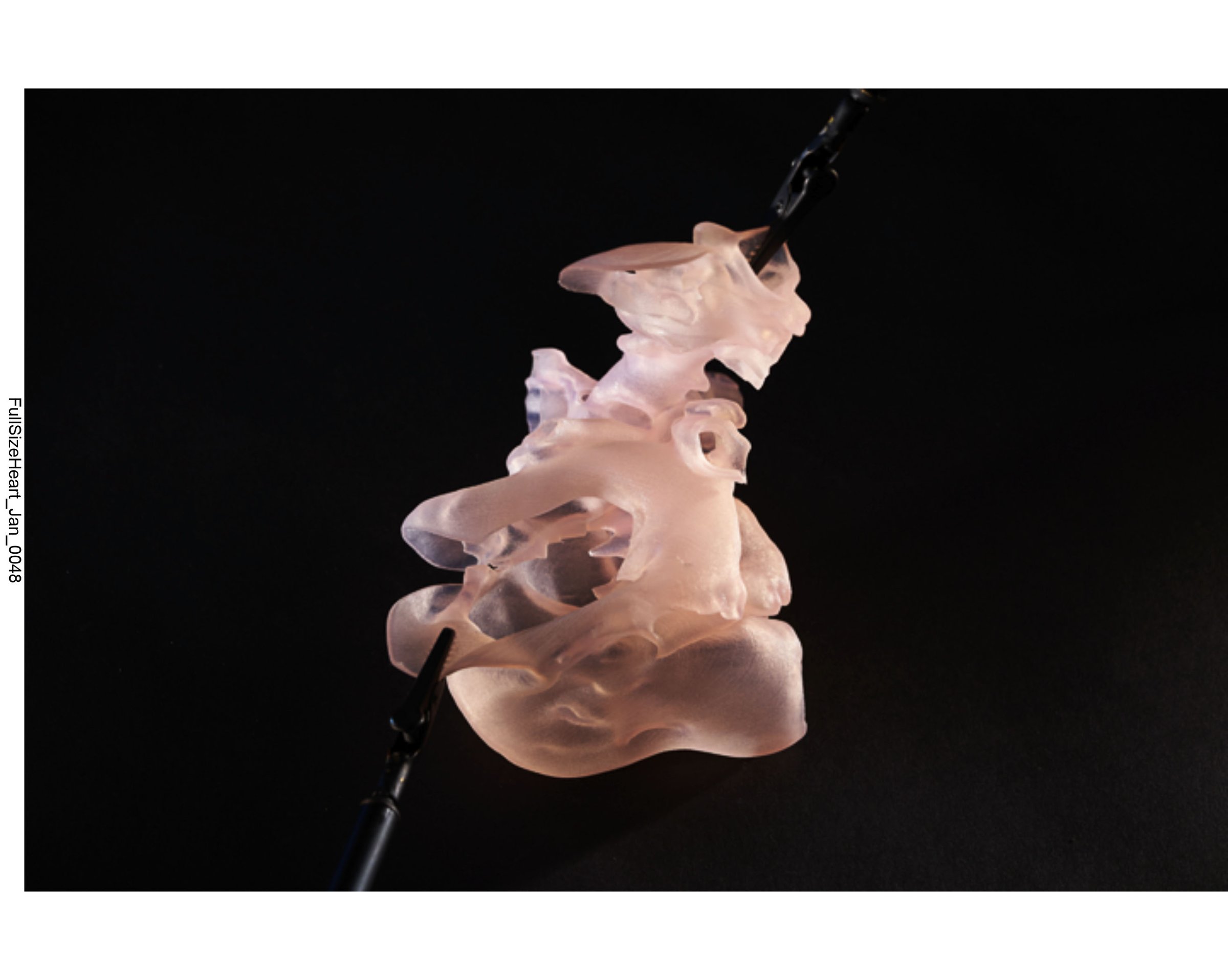Abstract sculpture with pinkish, translucent, organic shapes mounted on a black rod against a black background.