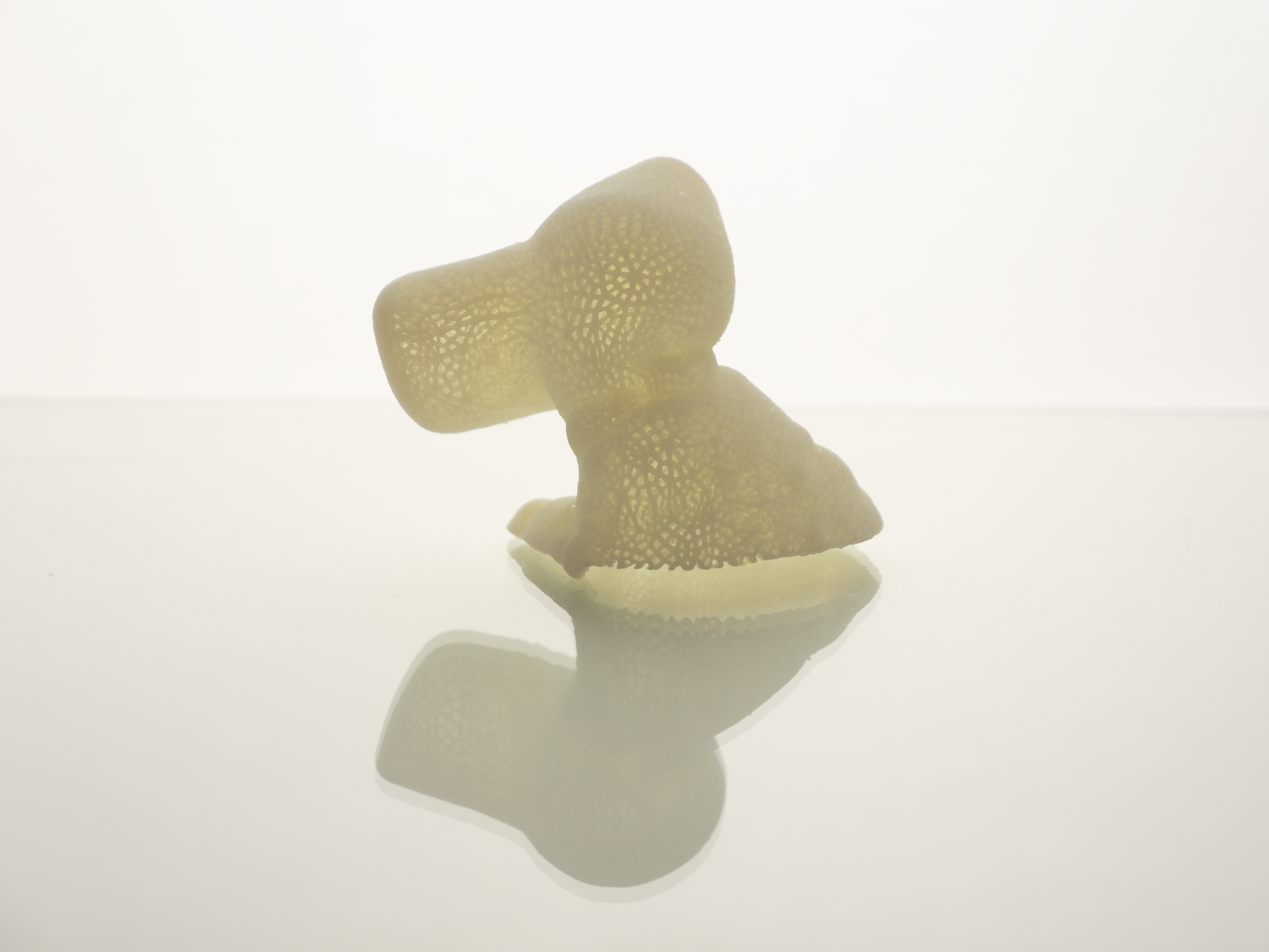 A piece of textured yellow food, possibly a vegetable or snack, with a porous surface, placed on a reflective surface with a white background.