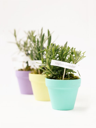 minted.com