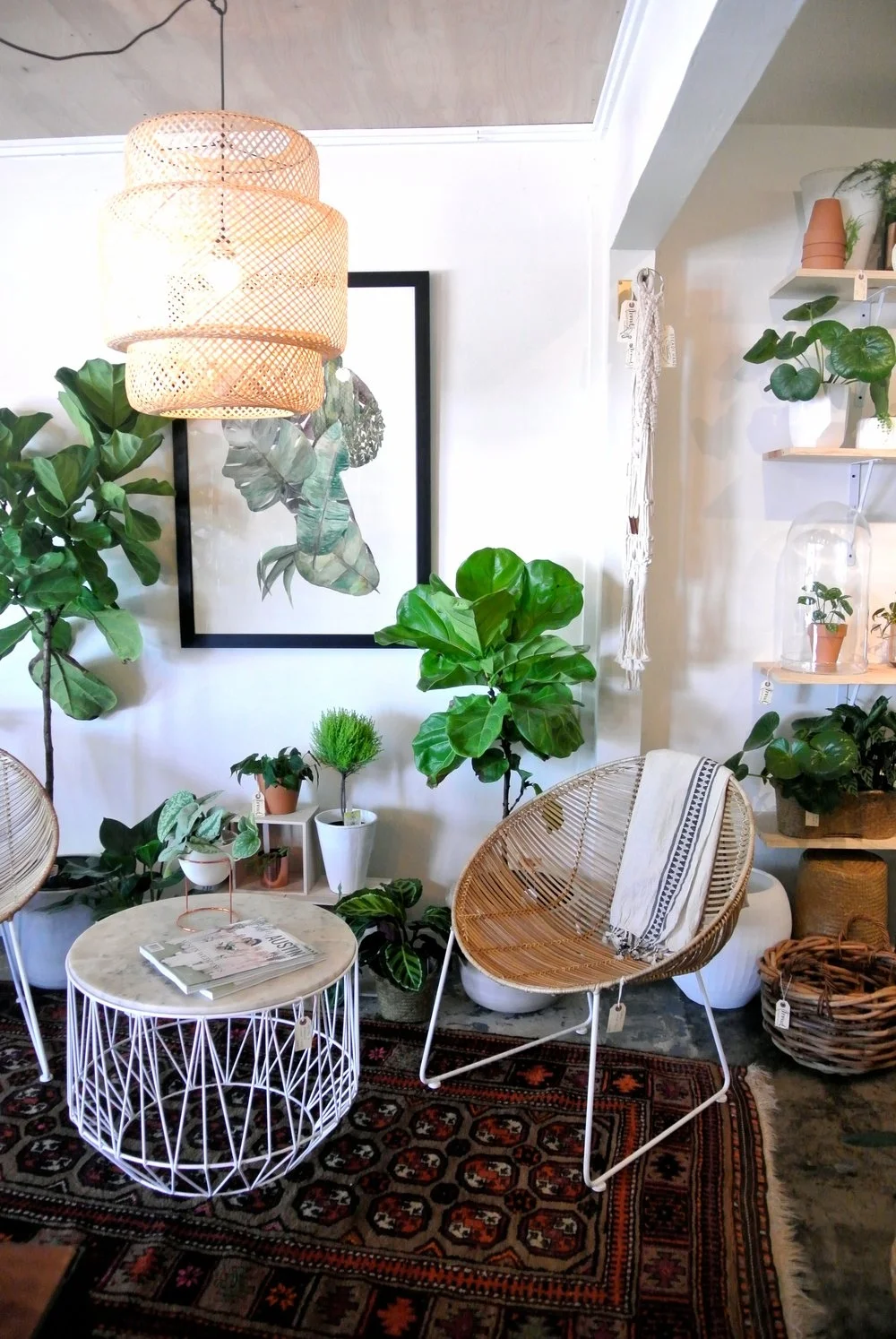 Austin Creatives: Frond Plant Shop