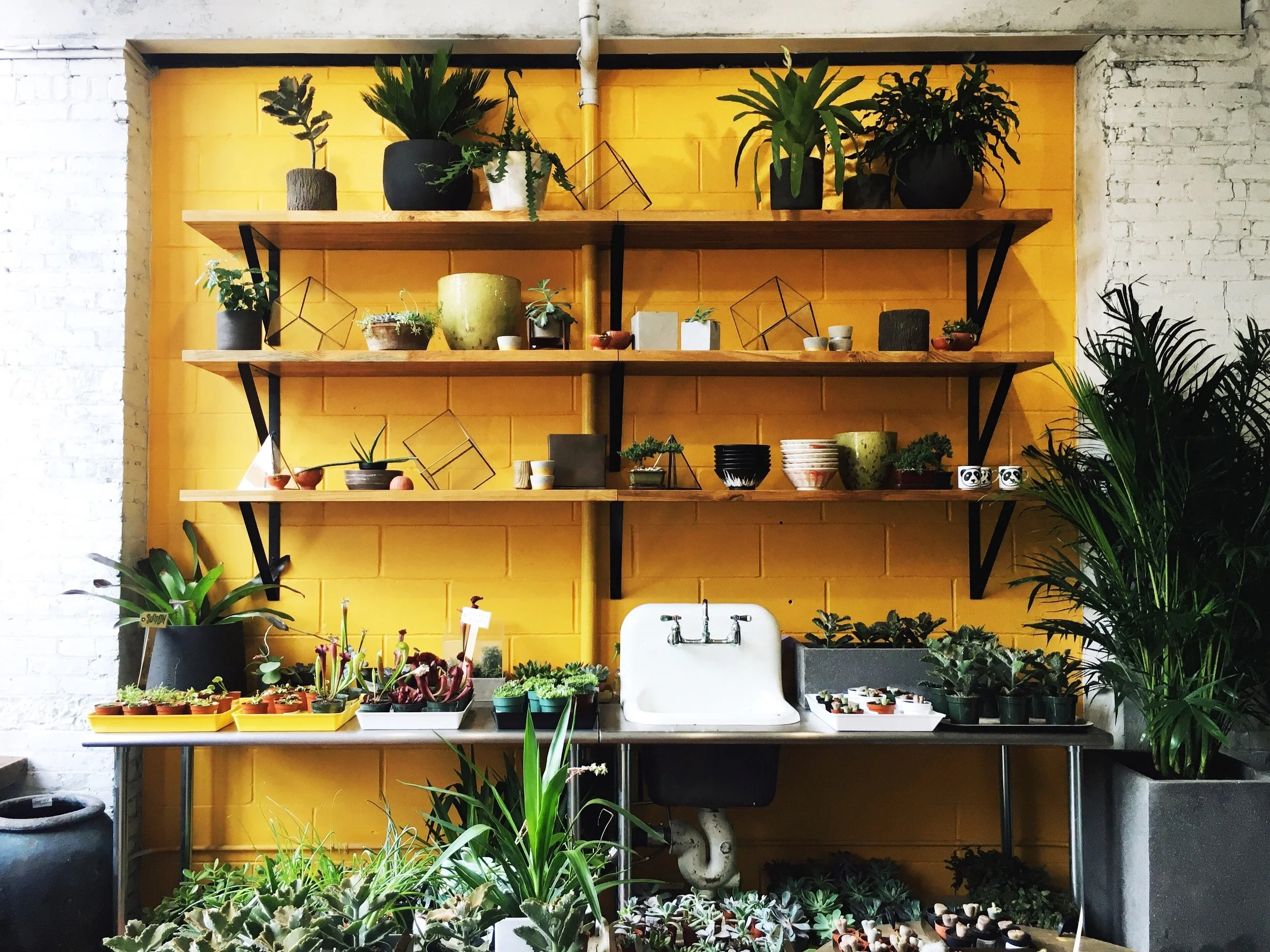 Cities That Inspire : Brooklyn 