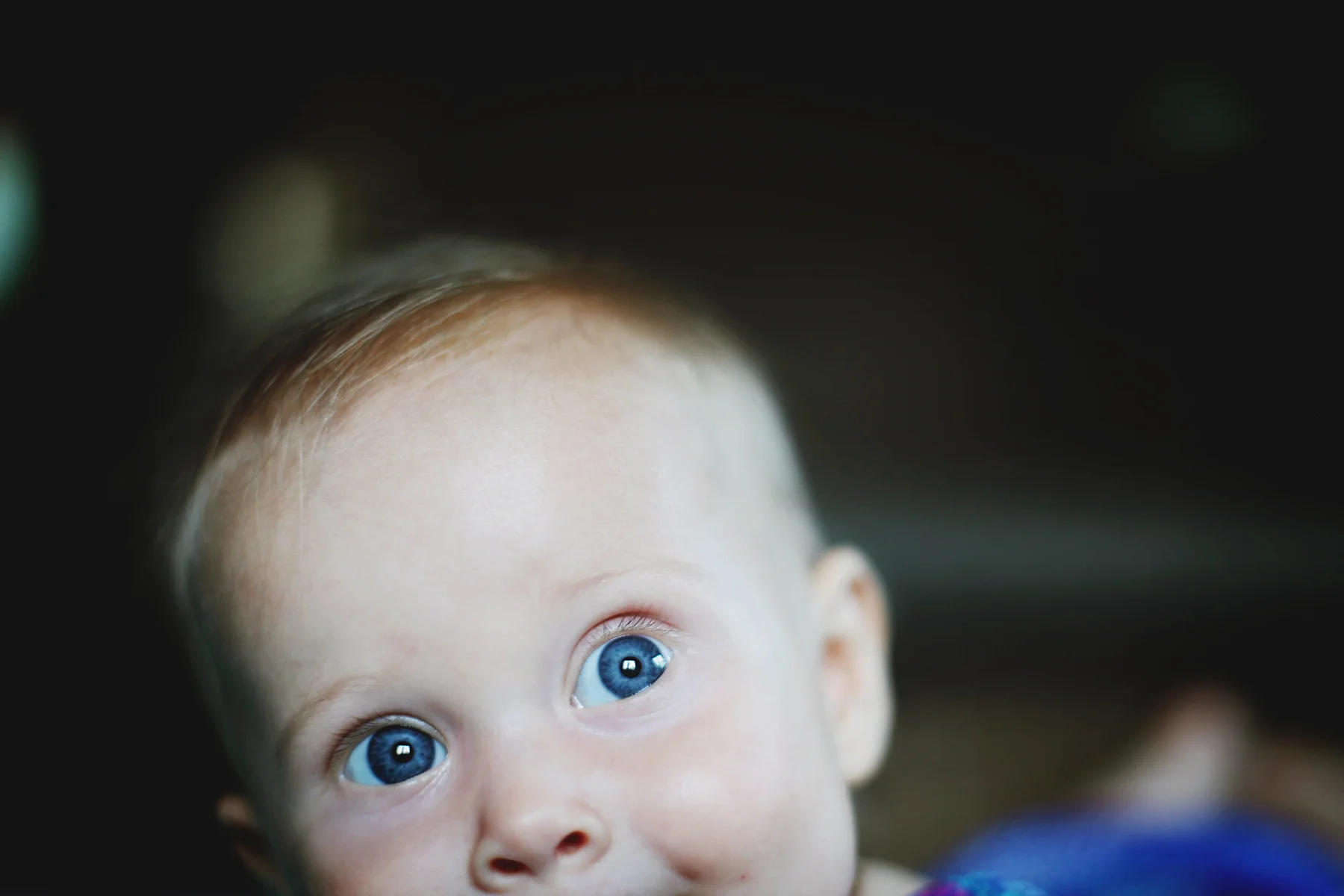 141105_0913adj_1.jpg
