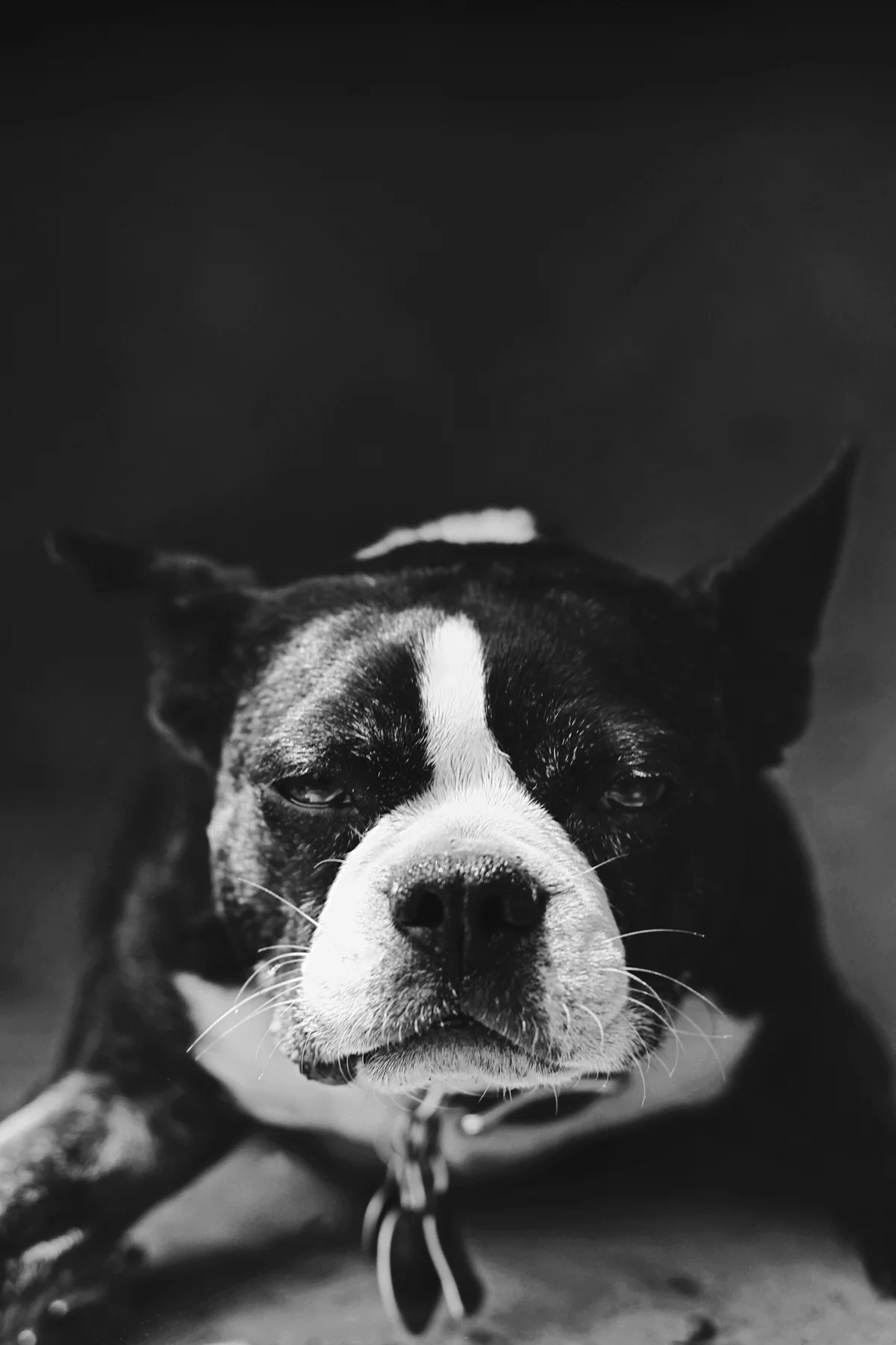 140430_8007web.jpg