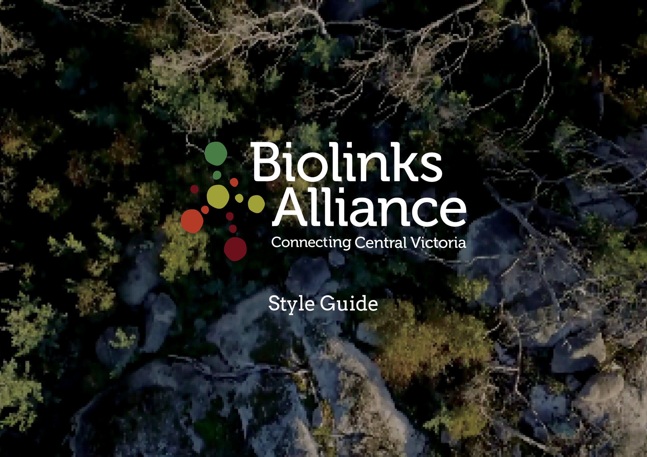 Biolinks Logo guide.jpg