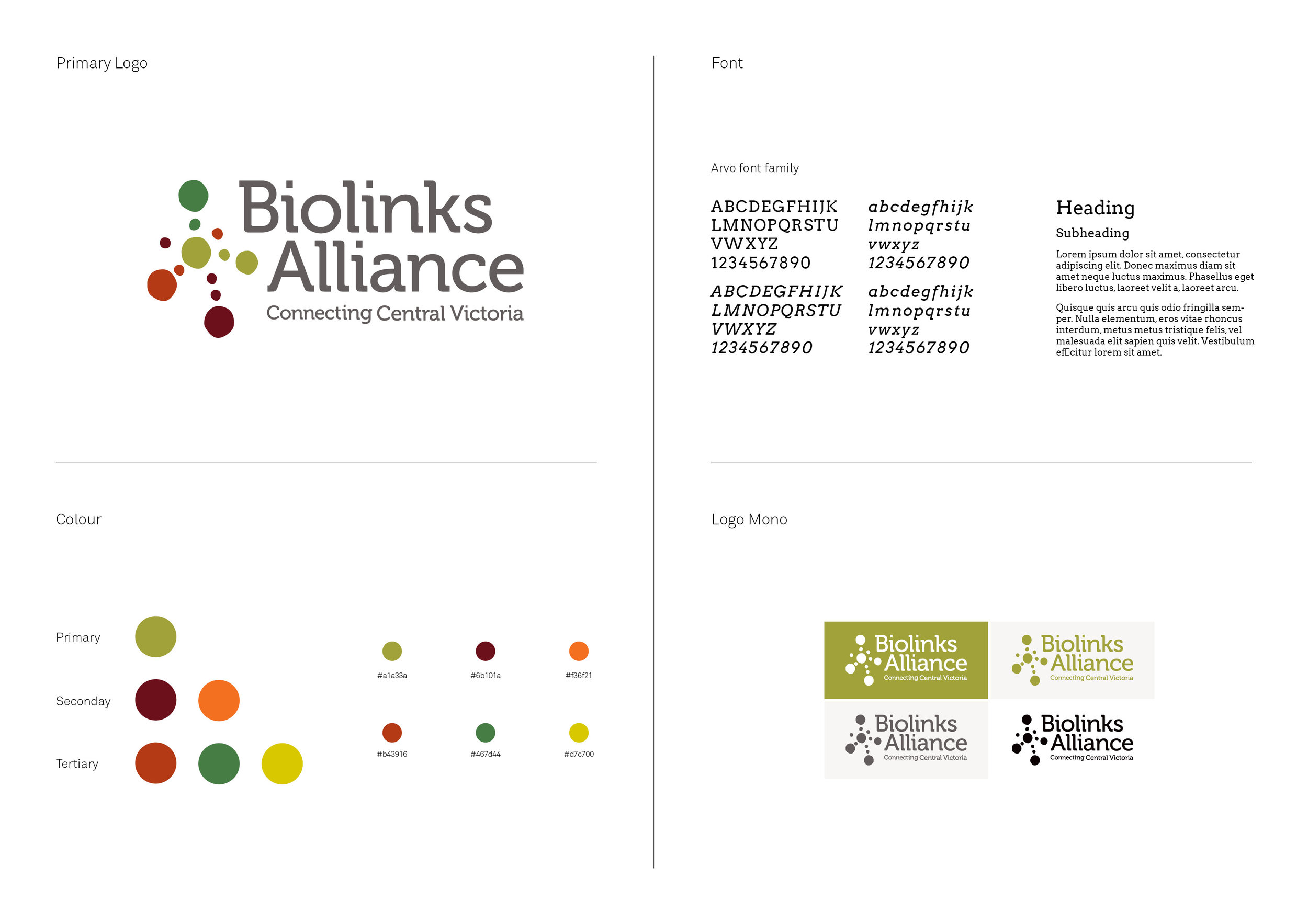 Biolinks Logo guide2.jpg