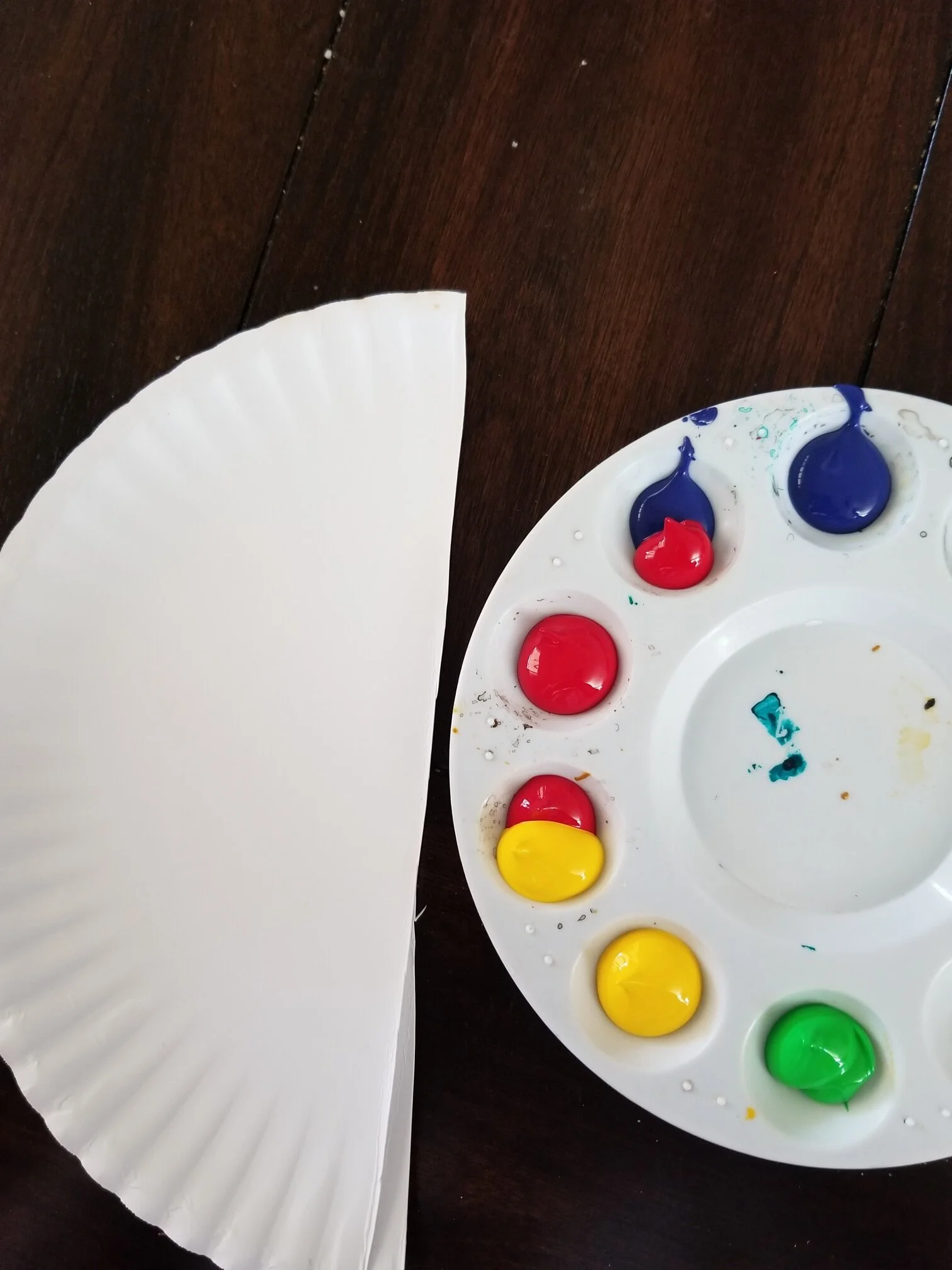 Plate and paint.jpg