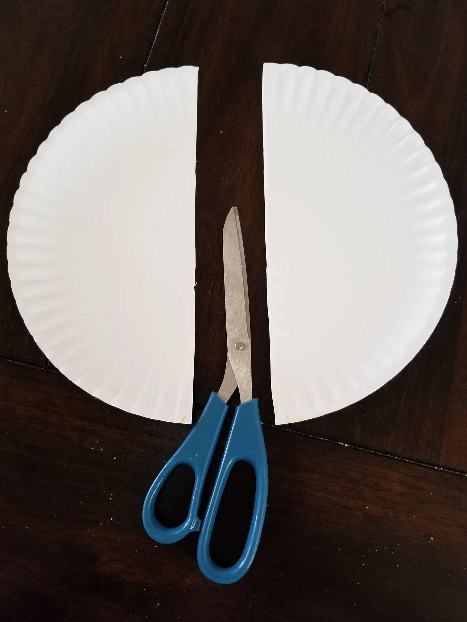 Paper plate cut.jpg