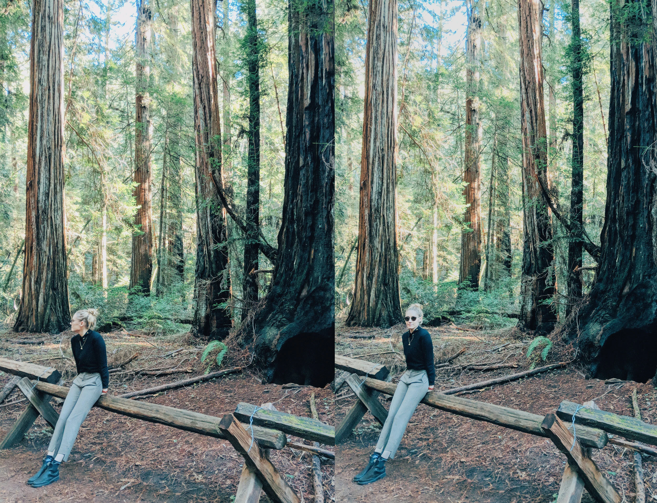 woods duo.jpg