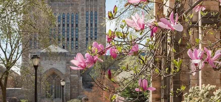 yale spring photo.jpeg