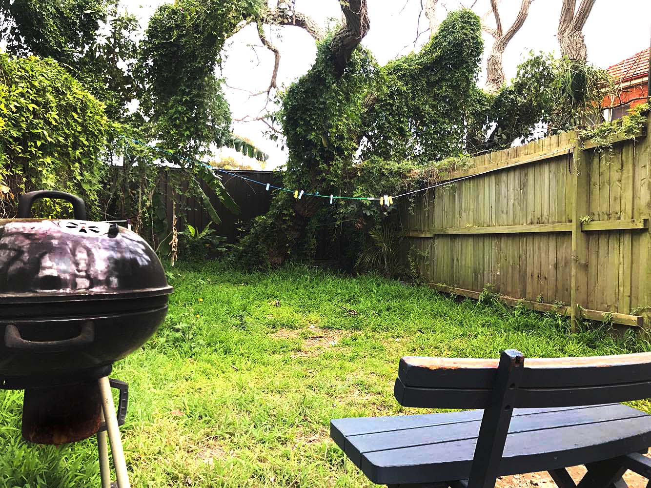 backyard.jpg