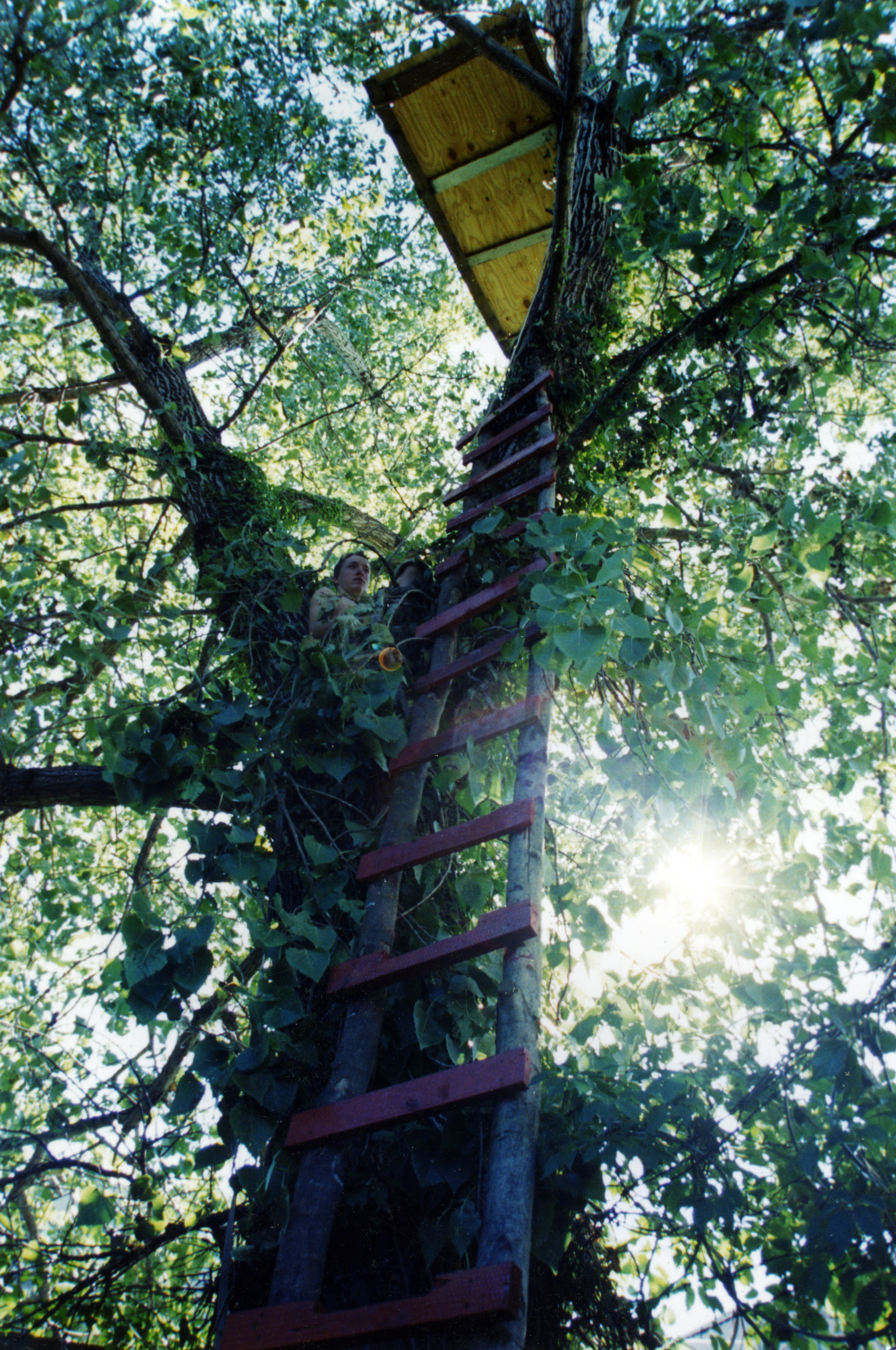 Simple ladder to new heights as to protect the land