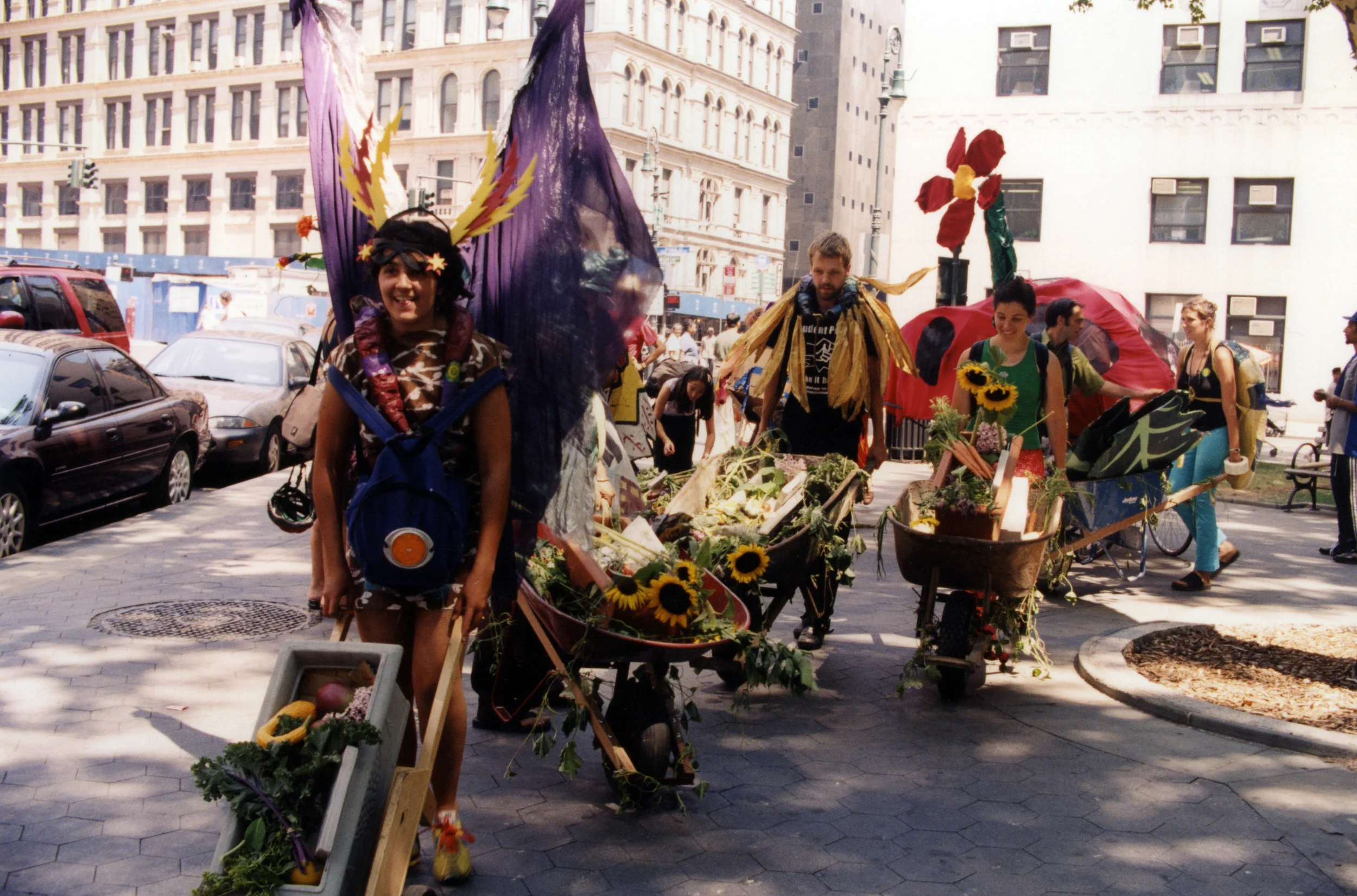 Image-374.jpg