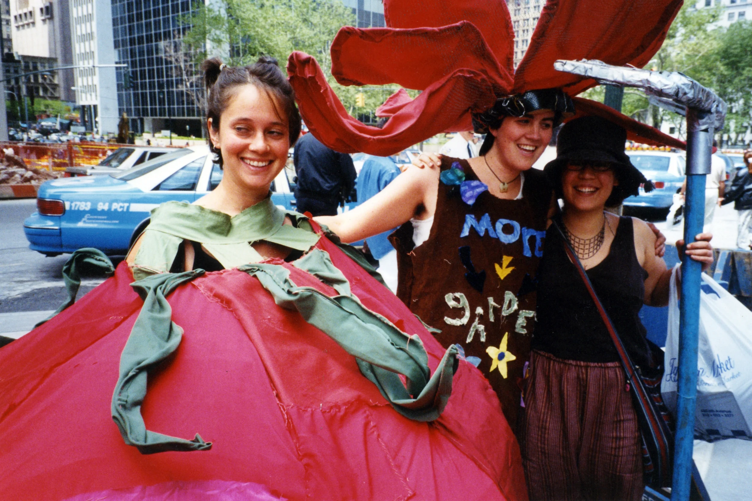 Image-480.jpg
