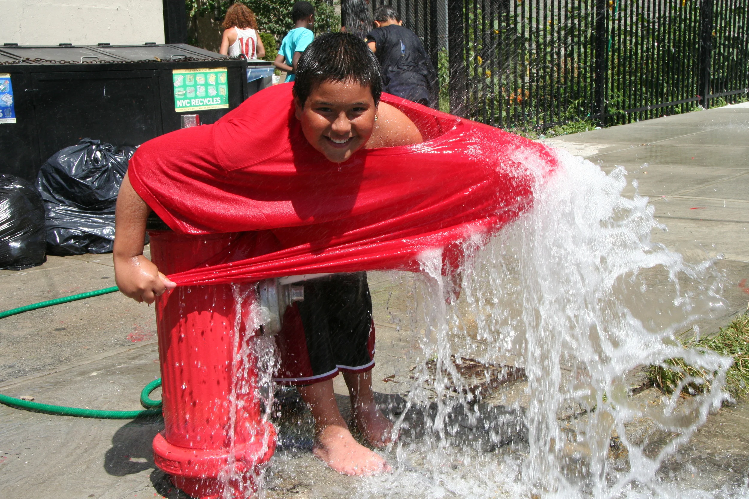 Family Group Garden, Melrose, South Bronx
