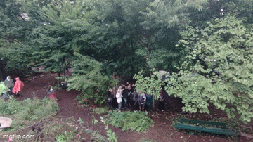 Living Willow Fox Den Sanctuary - GreenThumb Harvest Fair Workshop