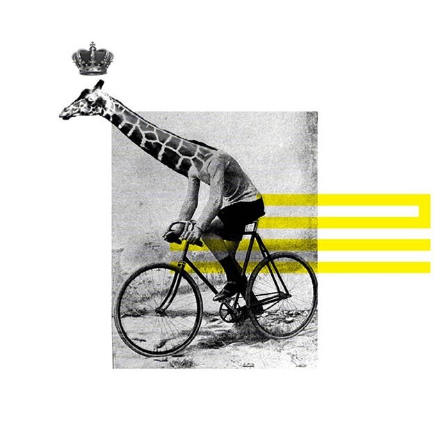RIDING TO SOMEWHERE

#ridingtosomewhere #cycling 
#giraffe #painting #barbitta #troybarbitta #art #remix