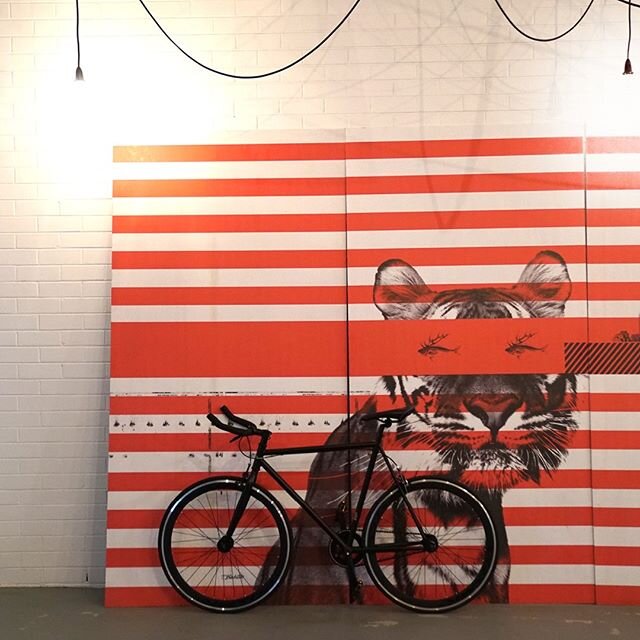 TIGER EYES

#fixie #wallart #art #cycling #studio #design #designstudio