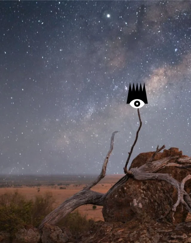 Night sky with stars over a rocky landscape with a dead tree, featuring a graphic of a black crown with an eye in the center.