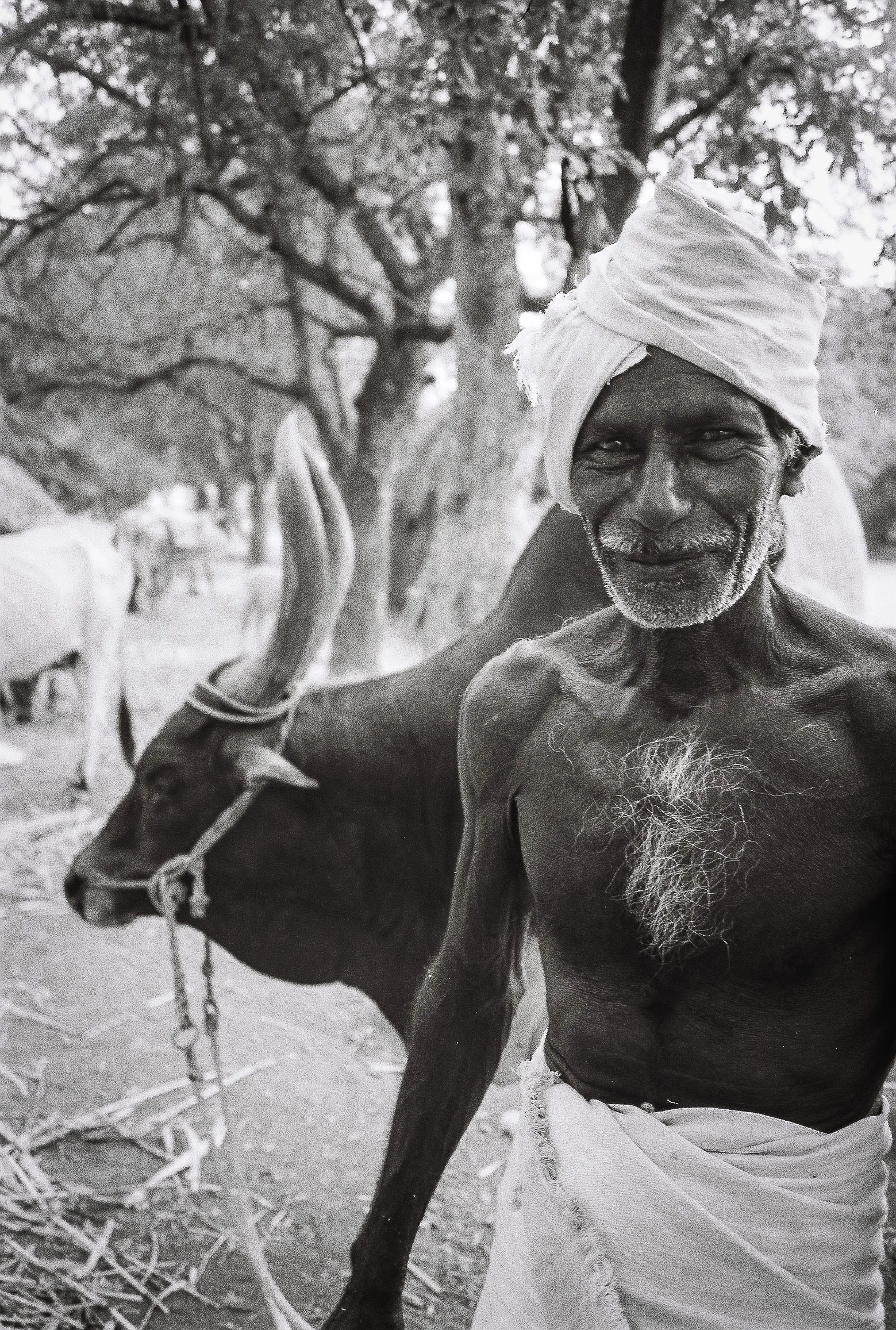 india-15.jpg