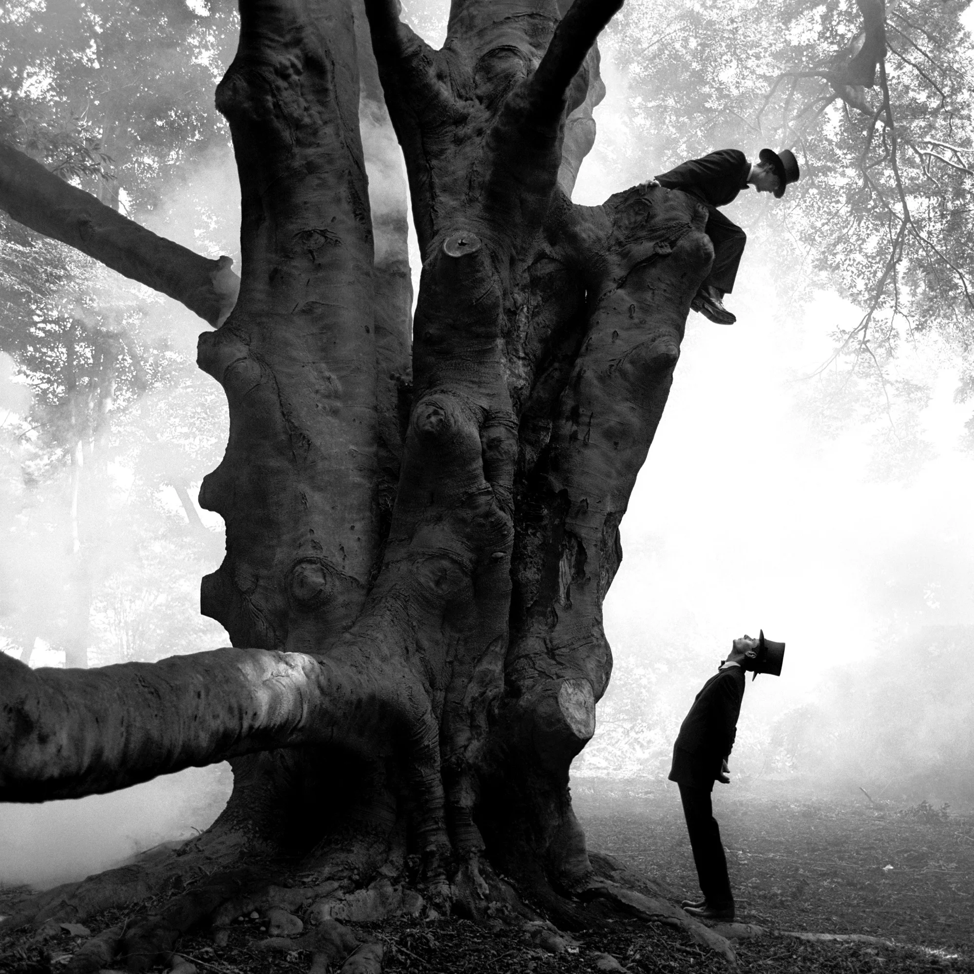 Twins in Tree, Snedens Landing, New York 1999 Archival pigment print 145 x 145 cm (image) 152 x 173 cm (paper)