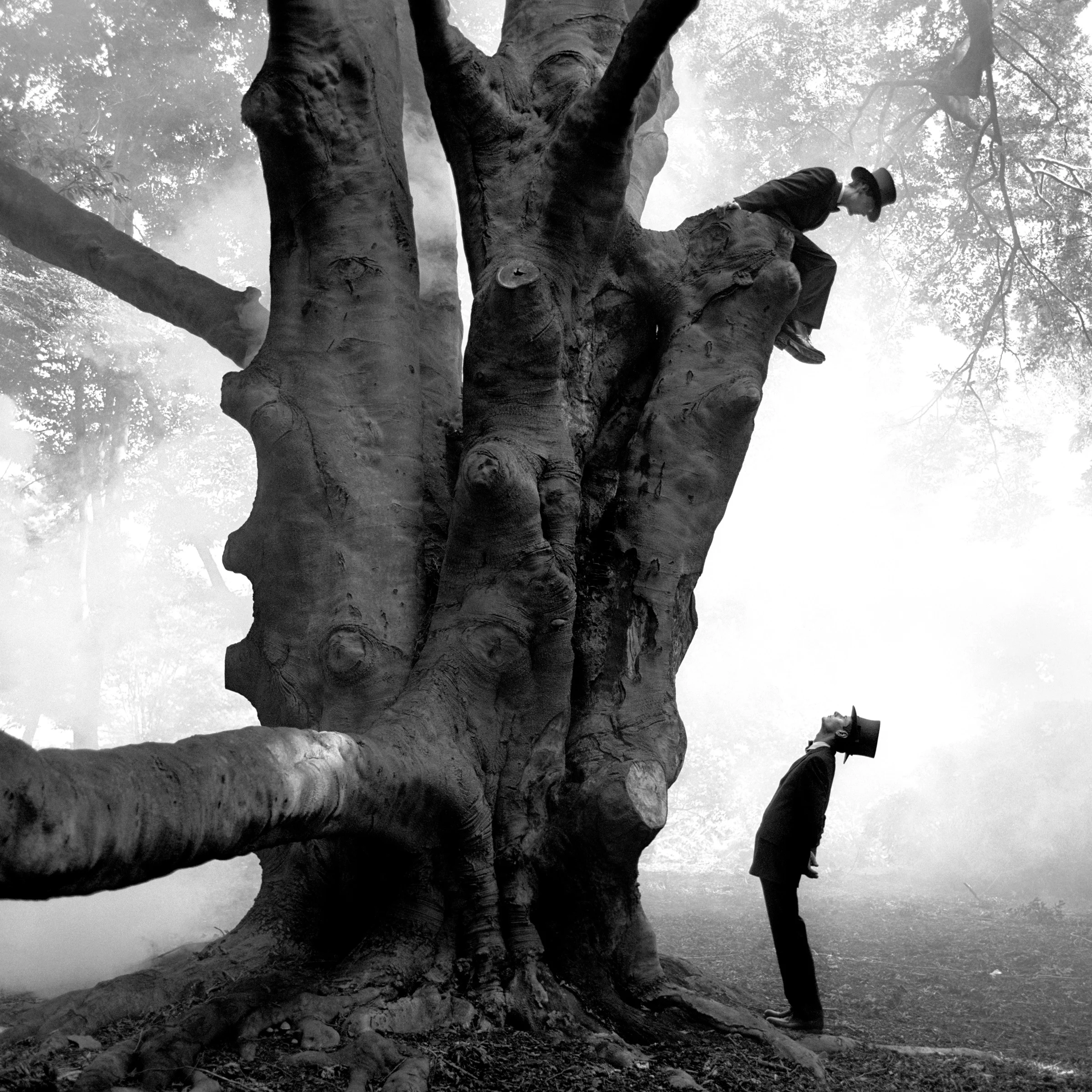 Twins in Tree, Snedens Landing, New York 1999 Archival pigment print 145 x 145 cm (image) 152 x 173 cm (paper)