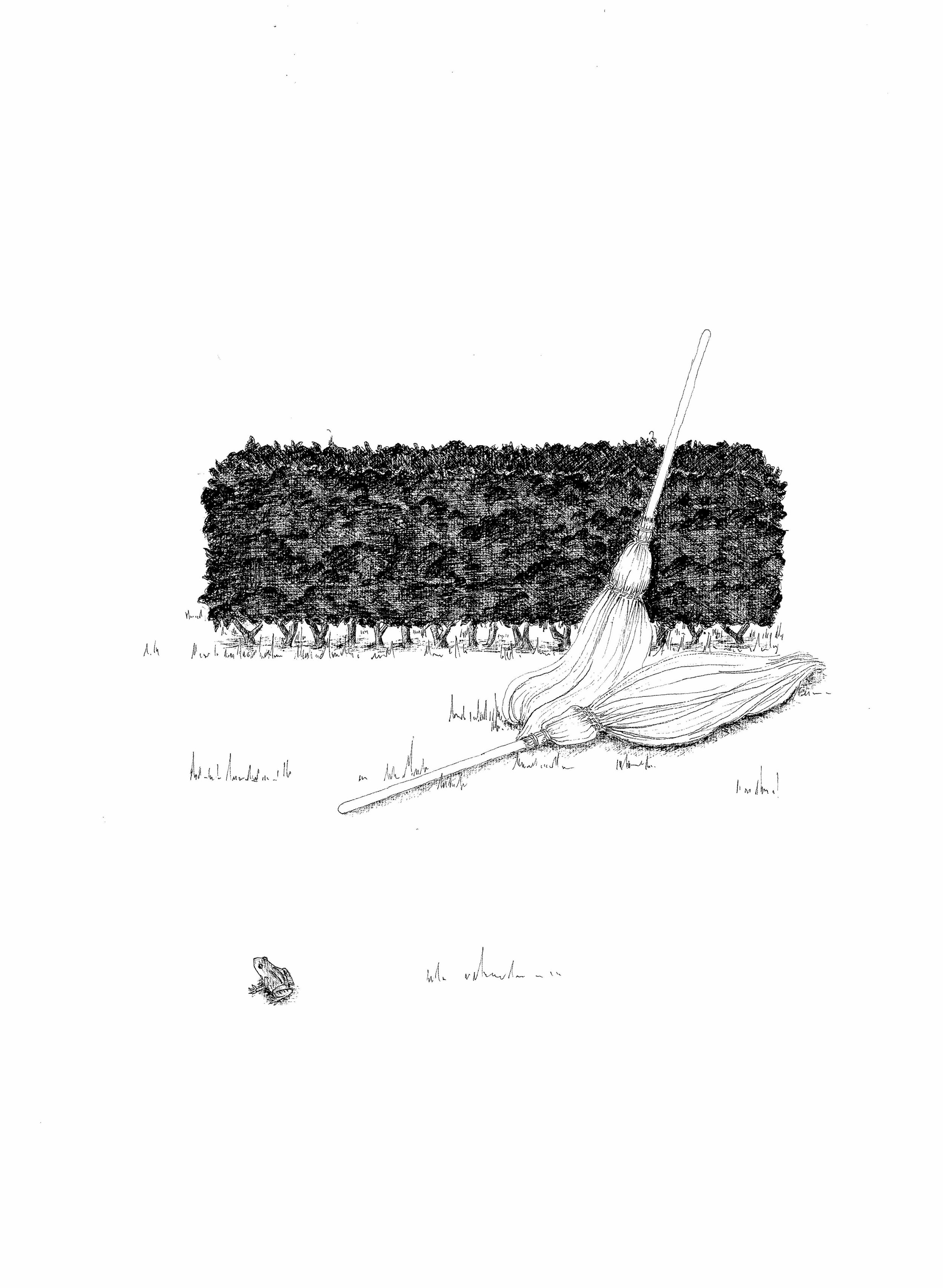   The Waves/Waifs (Hedge)  2009 Pen on paper 38 x 28 cm 