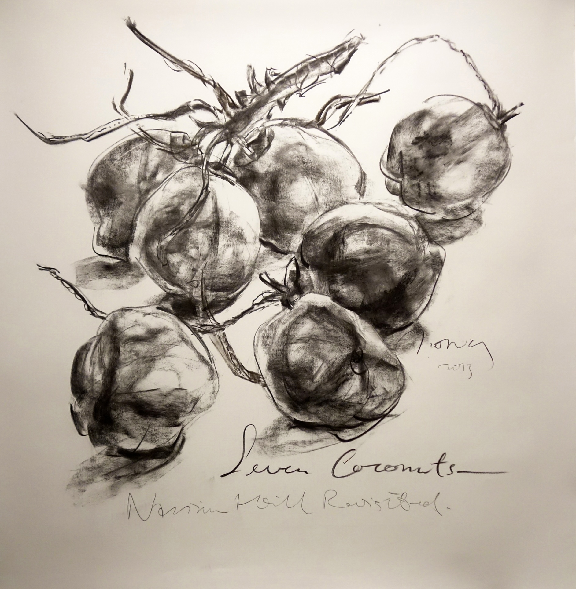   Seven Coconuts  2013 Charcoal on paper approx. H121 x W117 cm 