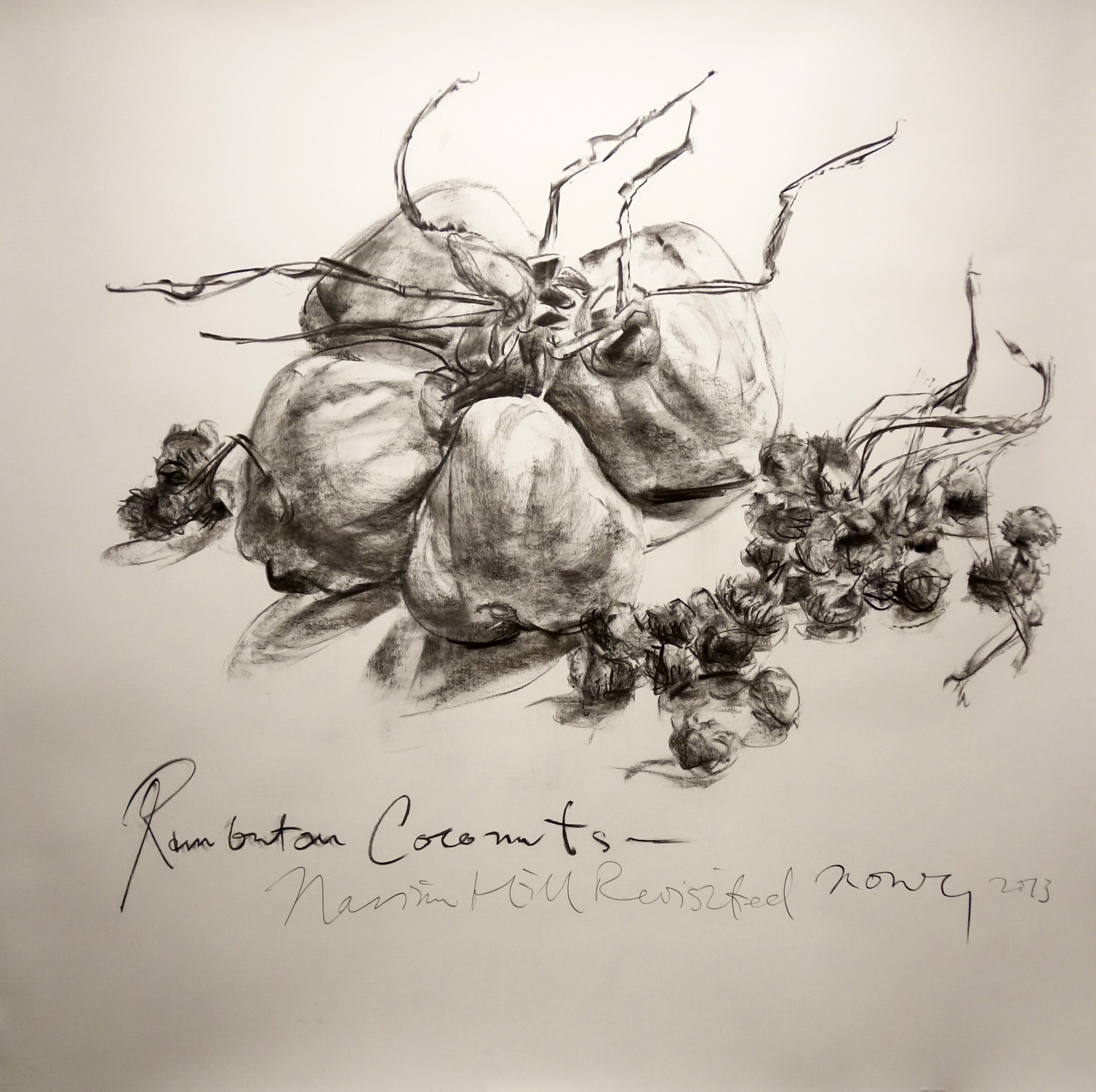   Rambutan Coconuts  2013 Charcoal on paper approx. H120 x W120 cm 